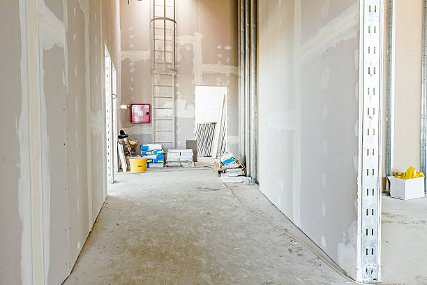 Best Commercial Painting  in Ladera Heights, CA